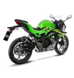 Leovince Kawasaki Ninja 125 LV ONE EVO