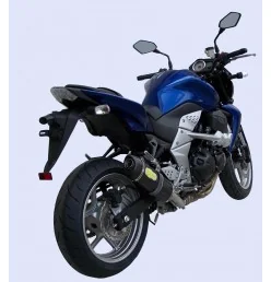 Exan Kawasaki Z 750 Ovale Carbon Cap