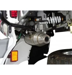 GPR Aeon Cobra 400 Efi e4 2017/2020 (MOTOBIONISCS) CO.ATV.38.DEATV