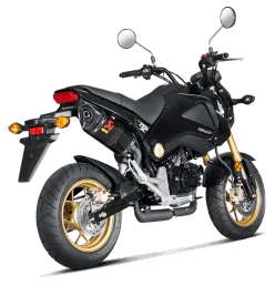 Akrapovic Honda MSX 125 / GROM S-H125SO1-HAPC
