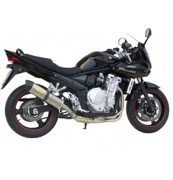 Exan Suzuki GSF Bandit 650 Ovale Carbon Cap