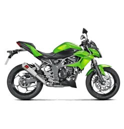 Akrapovic Kawasaki Ninja Zx 250 SL S-K2SO8-CUBT