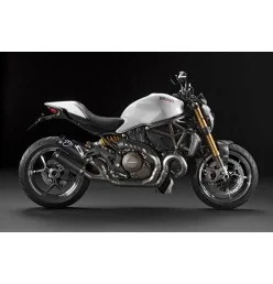 Termignoni Ducati Monster 1200