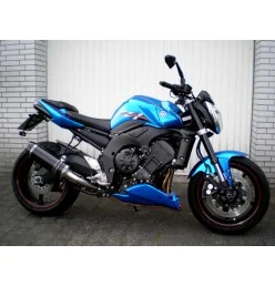 Exan Yamaha FZ1 Ovale Carbon Cap