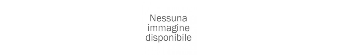 Kawasaki Ninja 1000 Sx 2021-2022